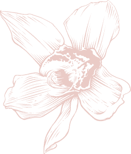 blumenimkopf-blume-gezeichnet